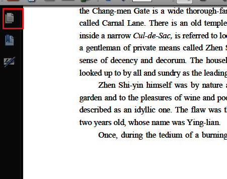 左侧边栏中页面面板已展开,显示多个PDF页面缩略图