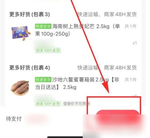 订单提交成功页面,提示“等待发货”状态