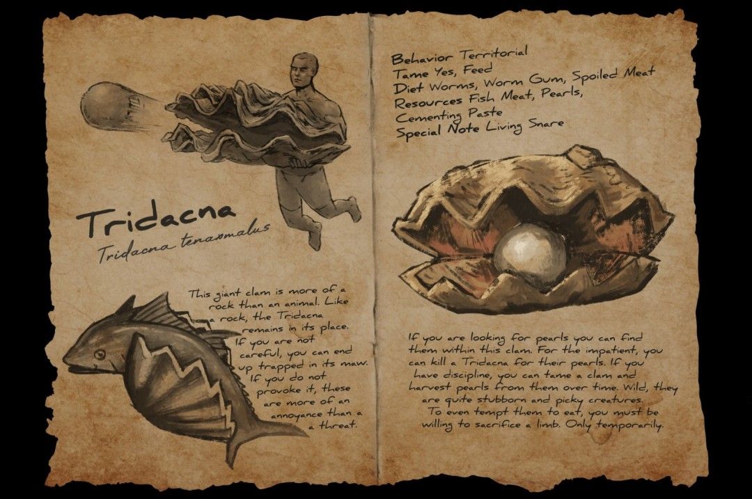 长砗磲生物设定图,展示其巨大贝壳与栖息环境