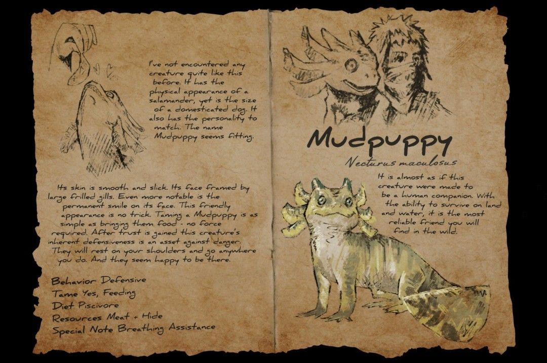 鲵灵犬生物设定图,展示其流线型身体与水中游动姿态