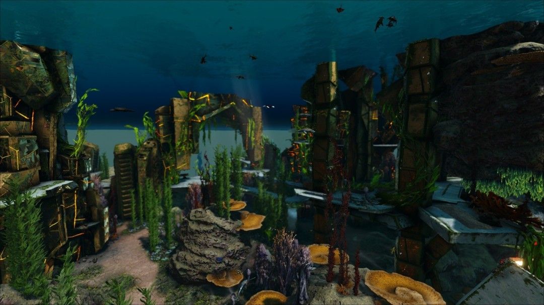 浅滩生态区实景图,展示明亮水域与缤纷珊瑚群落