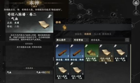 角色盘膝修炼神照经,体内真气流转,经脉中金色能量循环不息