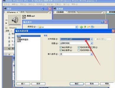 视频压缩器设置为Video 5.10,确保输出质量