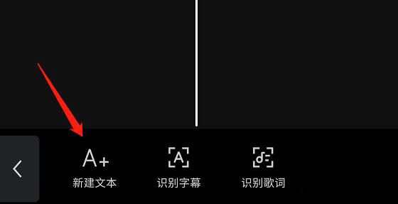 文字轨道已生成,显示在视频预览下方的时间轴上