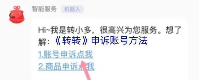用户填写申诉表单的示意图，包含文字说明与附件上传区域