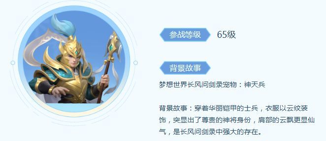 神天兵宠物属性面板截图，显示参战等级65级及基础属性