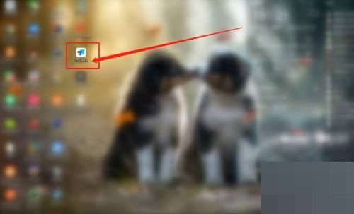 Todesk软件桌面图标示意图，显示标准蓝色背景与白色字母组合