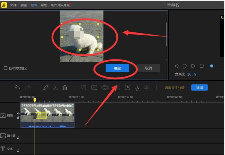最终设置界面：宽高比已设为9:16，‘确定’按钮高亮显示，背景预览画面精准呈现竖屏构图效果