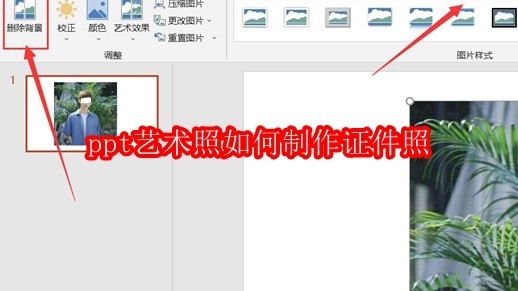 PowerPoint界面中展示一张生活艺术照被选中,右侧功能区高亮显示【格式】选项卡,界面简洁清晰,突出软件办公属性