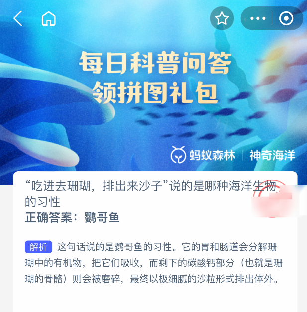 显微示意图：左侧为完整珊瑚枝，中间为鹦哥鱼咽喉研磨过程动态分解，右侧为排出的雪白细沙堆积效果