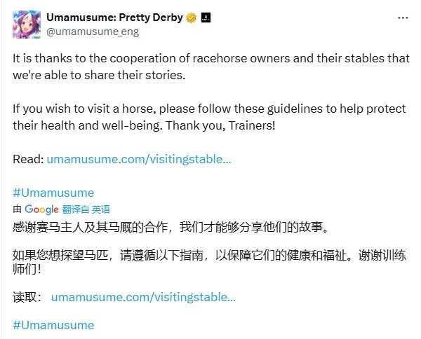 信息图解：九条参访守则以蓝白徽章风格呈现，每条配对应图标——如禁烟图标叠加马厩轮廓、闪光灯图标打叉、马头剪影加‘静音’波纹符号