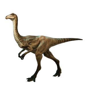 特写对比图：左侧雌性鸟脚龙羽色偏灰褐带浅纹，右侧雄性同种个体羽冠与尾羽呈现钴蓝与朱红渐变，神态更显昂扬