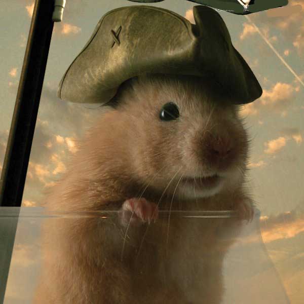 涂抹工具操作过程：画笔正沿仓鼠背部毛发生长方向轻扫，形成自然蓬松的纹理过渡，界面右下角显示强度90%、大小3px参数设置