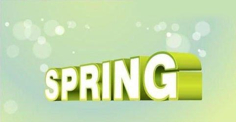 SPRING单个字母（如S）的立体化效果特写：左侧高光区泛浅黄绿，右侧阴影区沉入深绿，边缘过渡柔和，呈现真实体积感