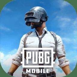 PUBG 2025国际服最新安装入口 V2.4.0