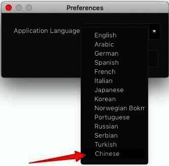 选择中文语言界面