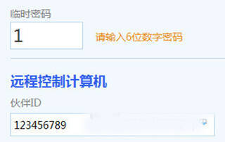 ToDesk自定义临时密码界面