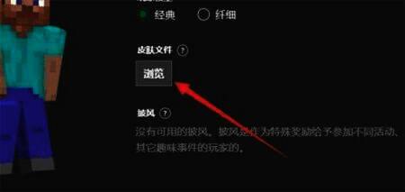 上传皮肤文件界面