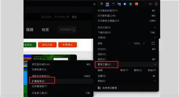 进入扩展程序操作图