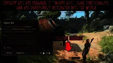 《博德之门3》冒险精神MOD截图3