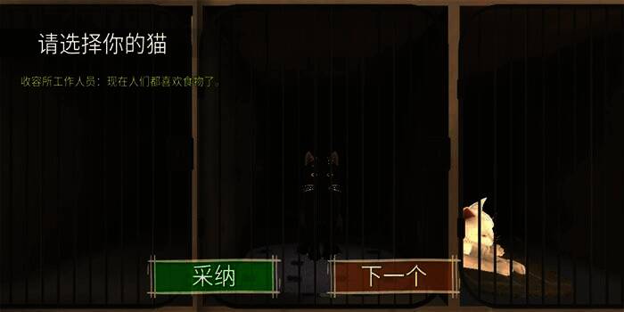 顽皮猫生活模拟游戏画面