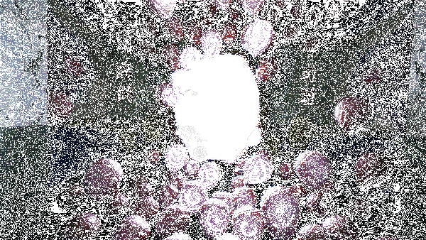 《杀青》游戏背景相关动图