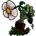 植物大战僵尸转基因版 安卓版 V1.0