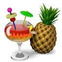 handbrake苹果电脑版 v1.9.1