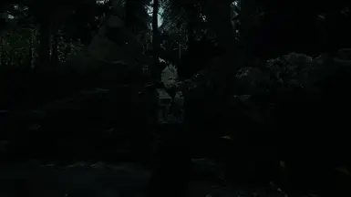 《最终幻想7：重生》军装MOD截图2