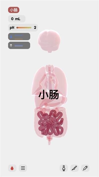 Life生命模拟器游戏画面