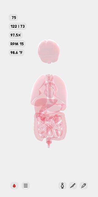 Life生命模拟器人体模型创建成功界面