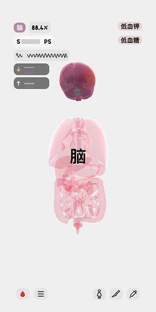 点击器官高亮显示界面