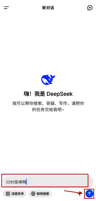 DeepSeek搜索输入界面图片