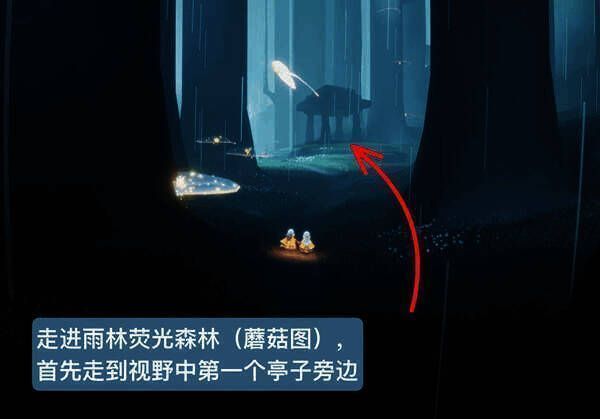 雨林荧光森林第一个亭子位置