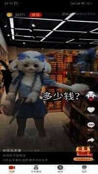 小蓝视频相关展示图片