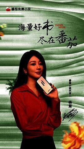 旧版番茄免费小说界面示例