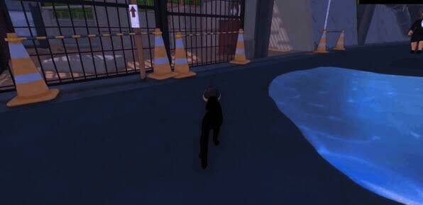 动物园浣熊图片