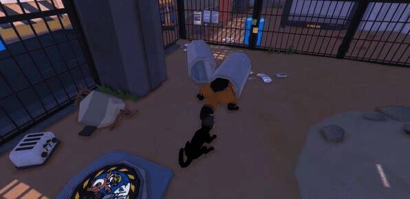 拉浣熊尾巴位置图片