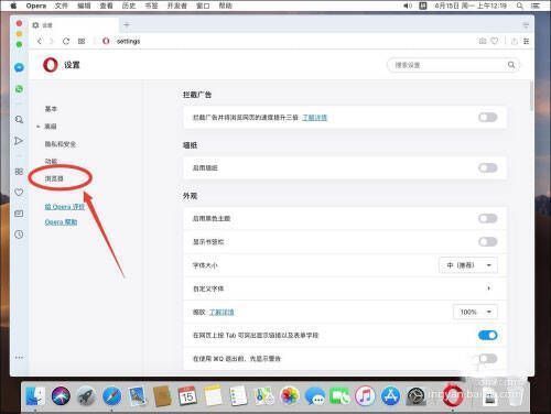 选择浏览器选项