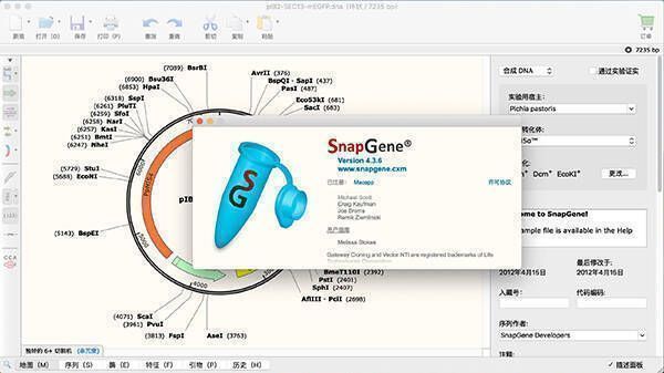 SnapGene软件相关示例图片