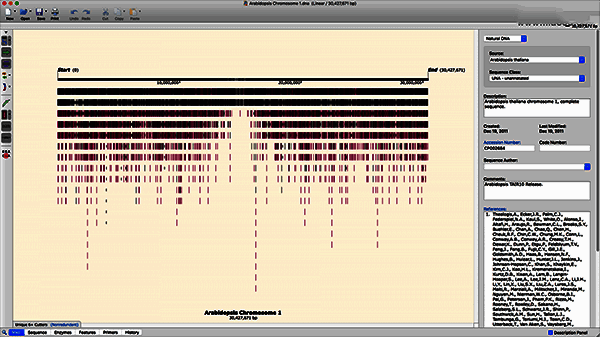 大序列支持操作界面示例