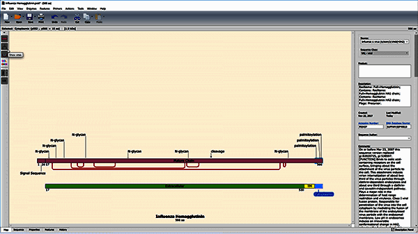 蛋白质可视化界面示例