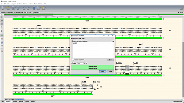 序列编辑操作示例