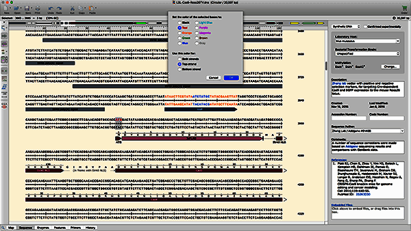序列颜色编码示例