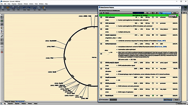 特征注释操作示例