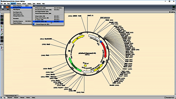 限制性站点指标显示示例