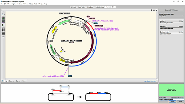 网关克隆操作示例