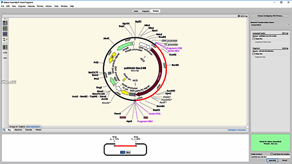 吉布森大会操作示例