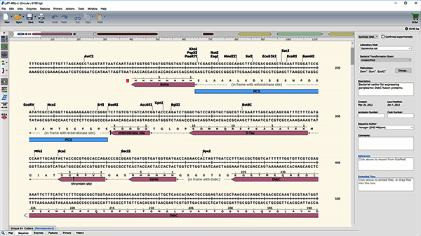 基因融合框架检查示例