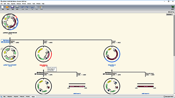 历史和嵌入式祖先查看示例